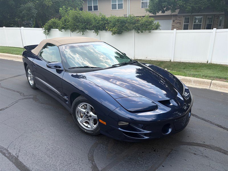 Used 2002 Pontiac Firebird Trans Am RWD image 2