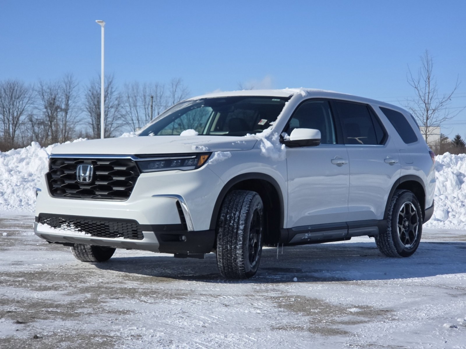 Used 2025 Honda Pilot EX-L image 14