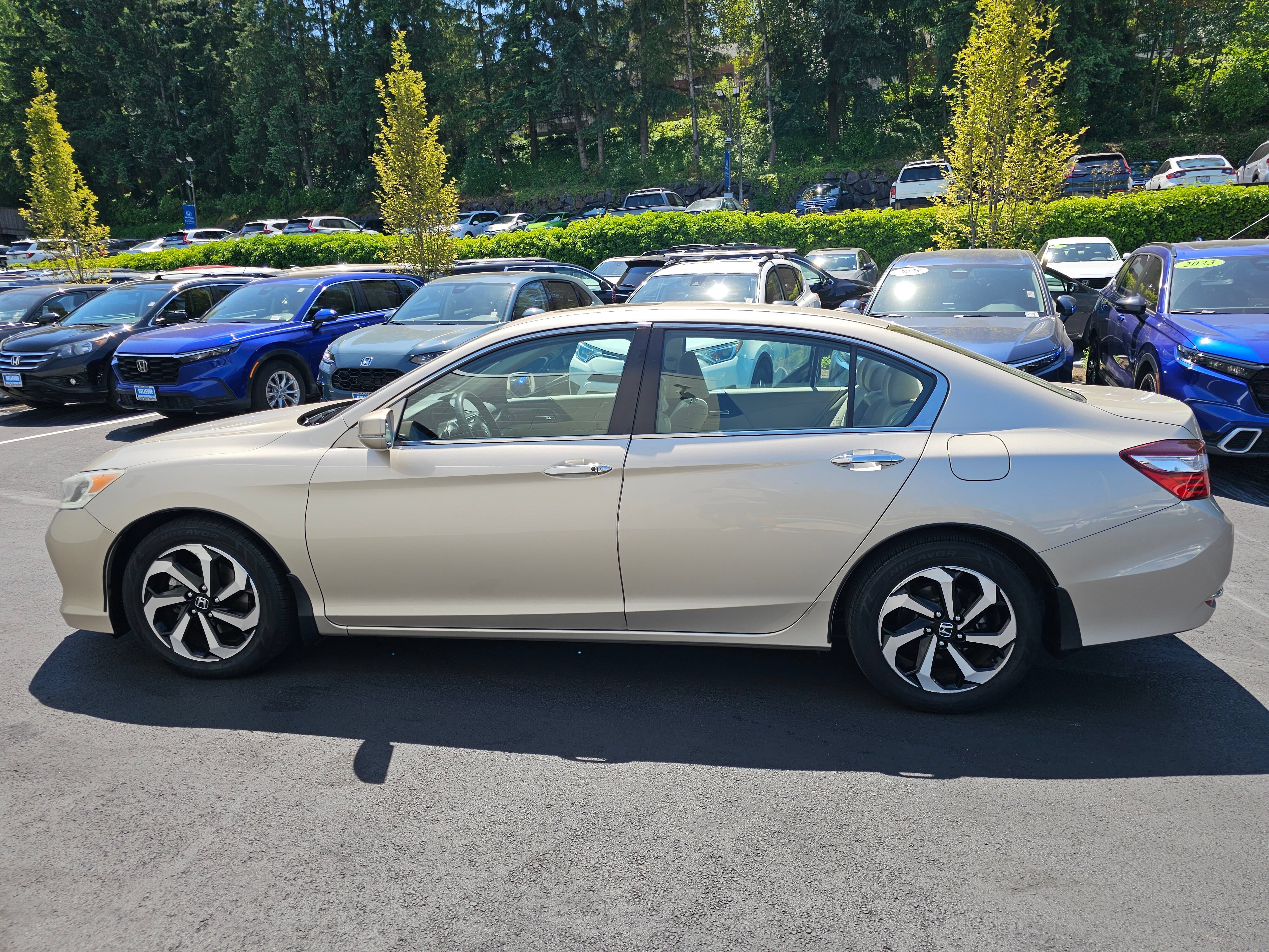Used 2016 Honda Accord EX image 5