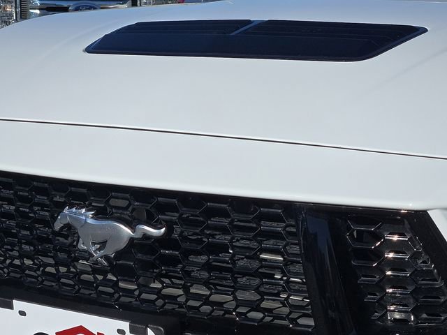 Used 2025 Ford Mustang GT Premium image 7