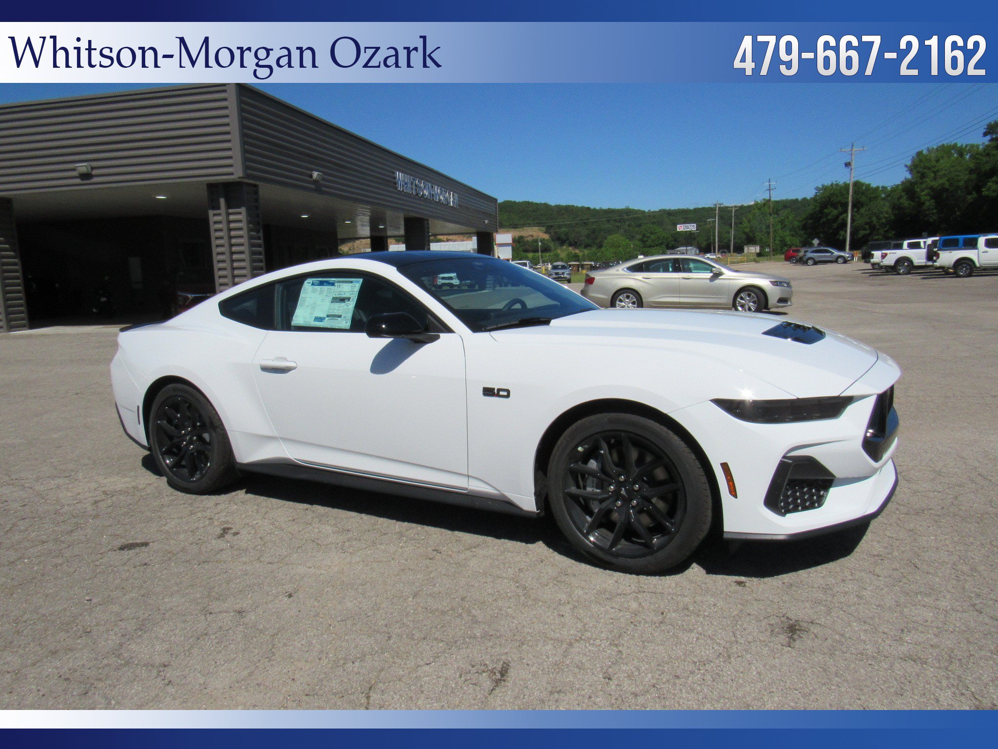 New 2026 Ford Mustang GT w/ Mustang Nite Pony Package RWD image 2