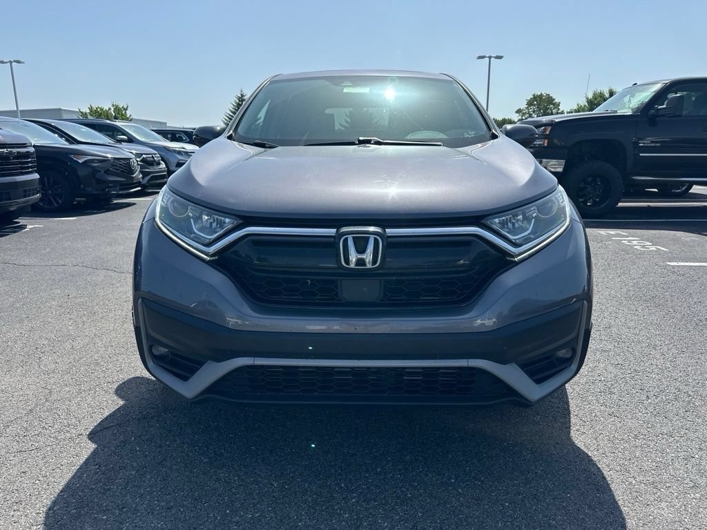 Used 2020 Honda CR-V EX-L image 2
