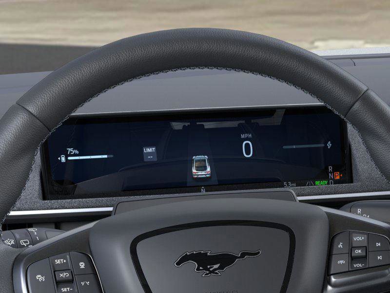 New 2025 Ford Mustang Mach-E GT w/ Interior Protection Package image 13