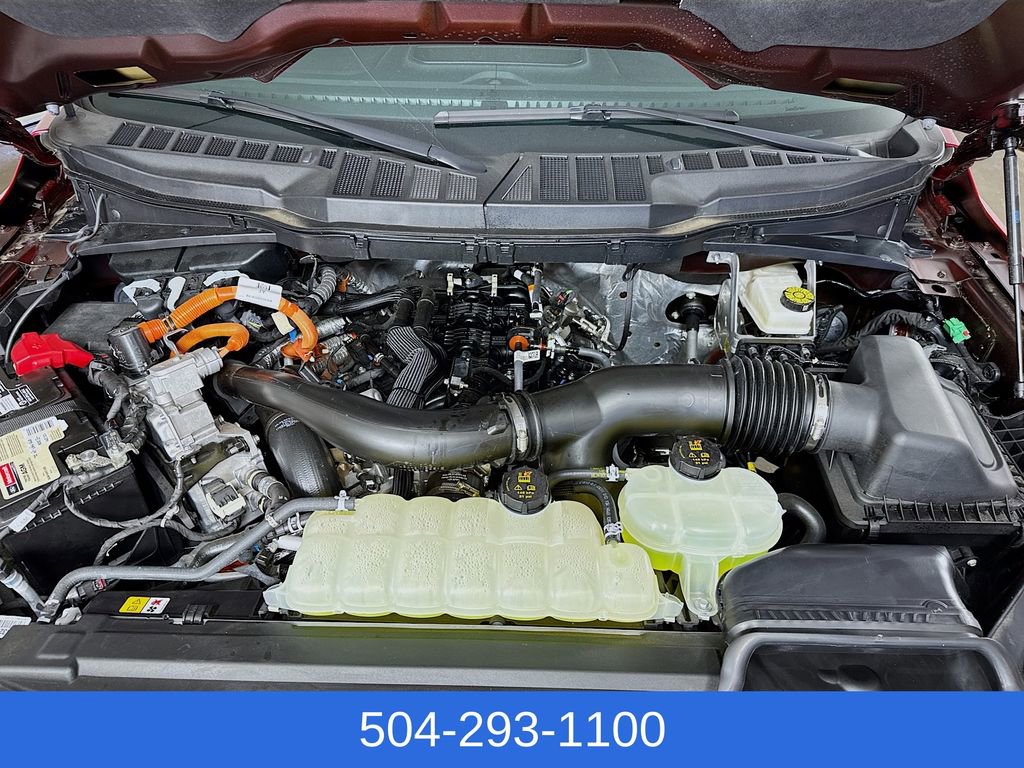 New 2025 Ford F150 XLT w/ Equipment Group 303A High image 31