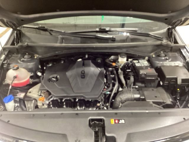 Used 2023 Kia Sportage EX image 8