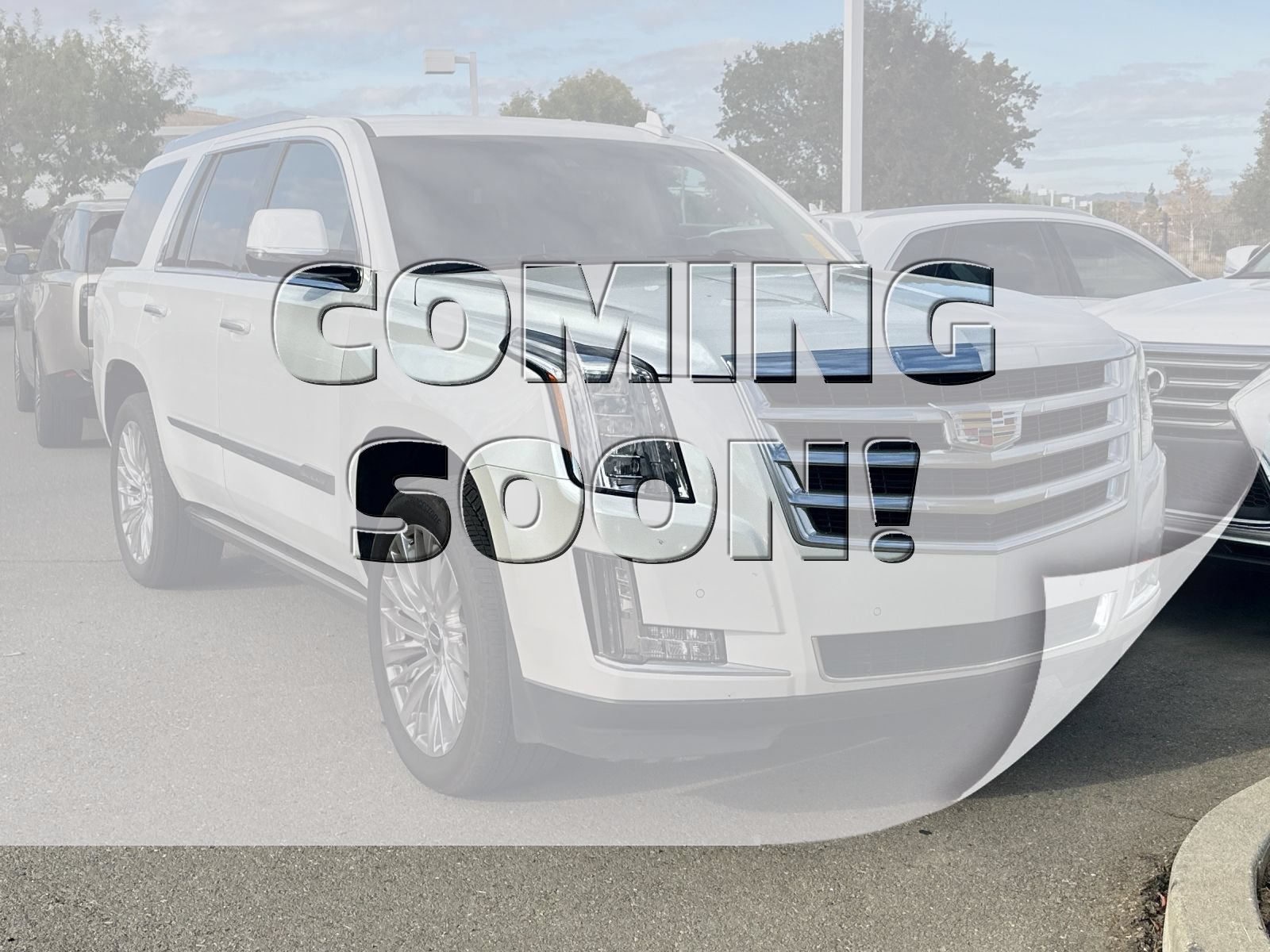 Used 2016 Cadillac Escalade Premium AWD/4WD image 1