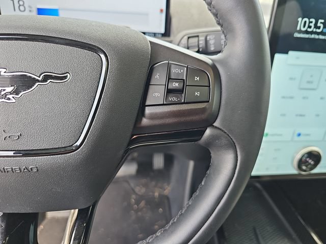 Used 2024 Ford Mustang Mach-E Premium RWD image 14