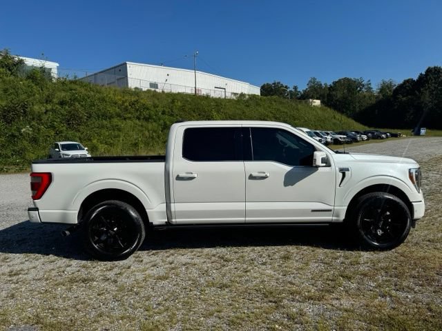 Used 2021 Ford F150 Limited AWD/4WD image 9