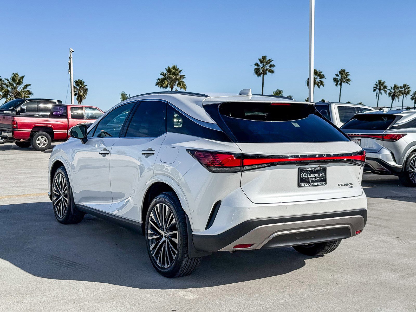 Used 2025 Lexus RX 350 image 5