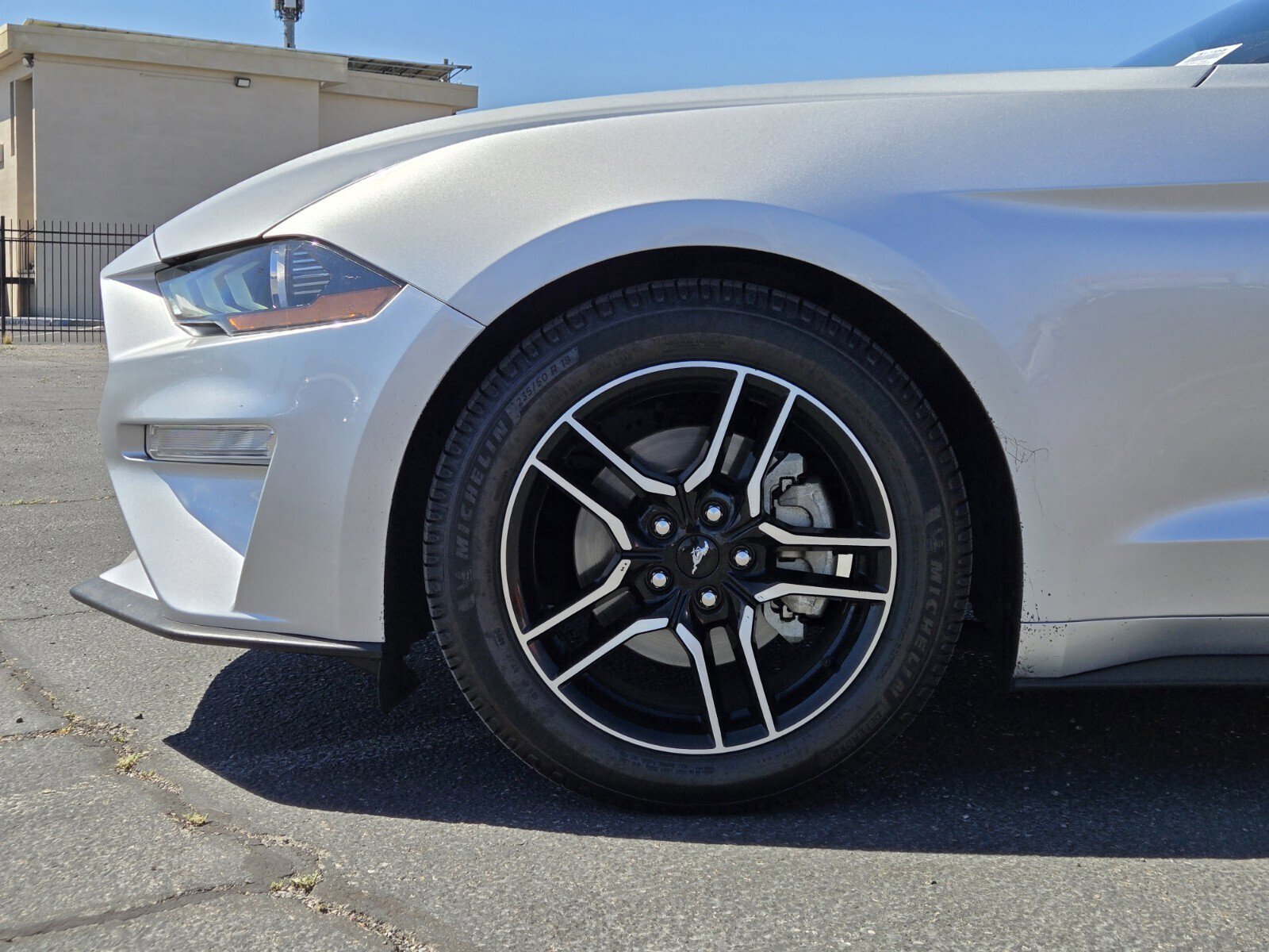 Used 2019 Ford Mustang Coupe w/ Equipment Group 101A RWD image 6