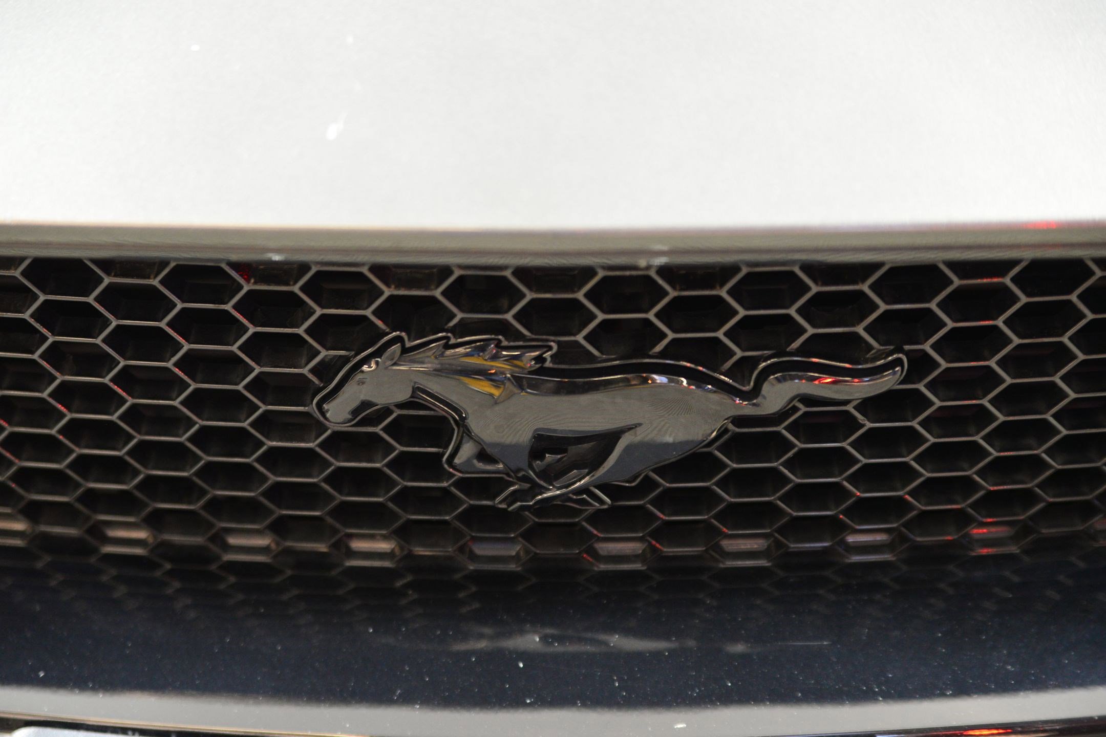 Used 2019 Ford Mustang GT w/ Black Accent Package image 14