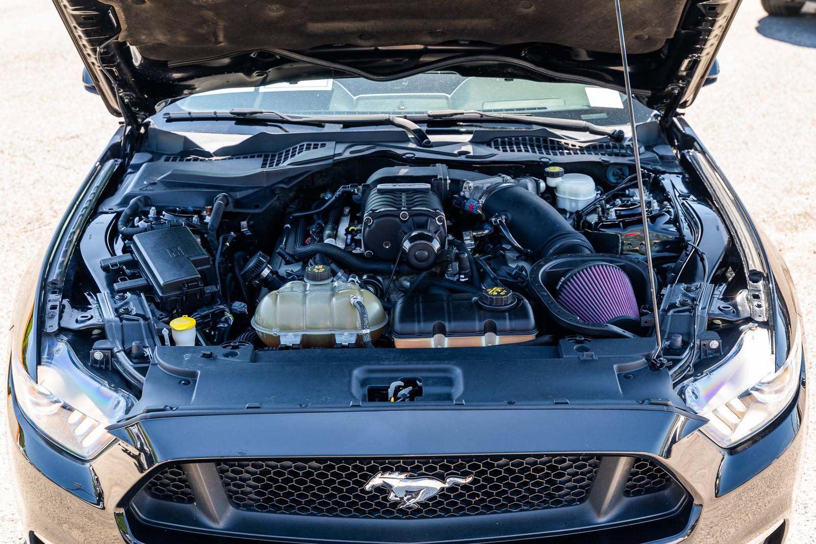 Used 2017 Ford Mustang GT Premium w/ Equipment Group 401A RWD image 22
