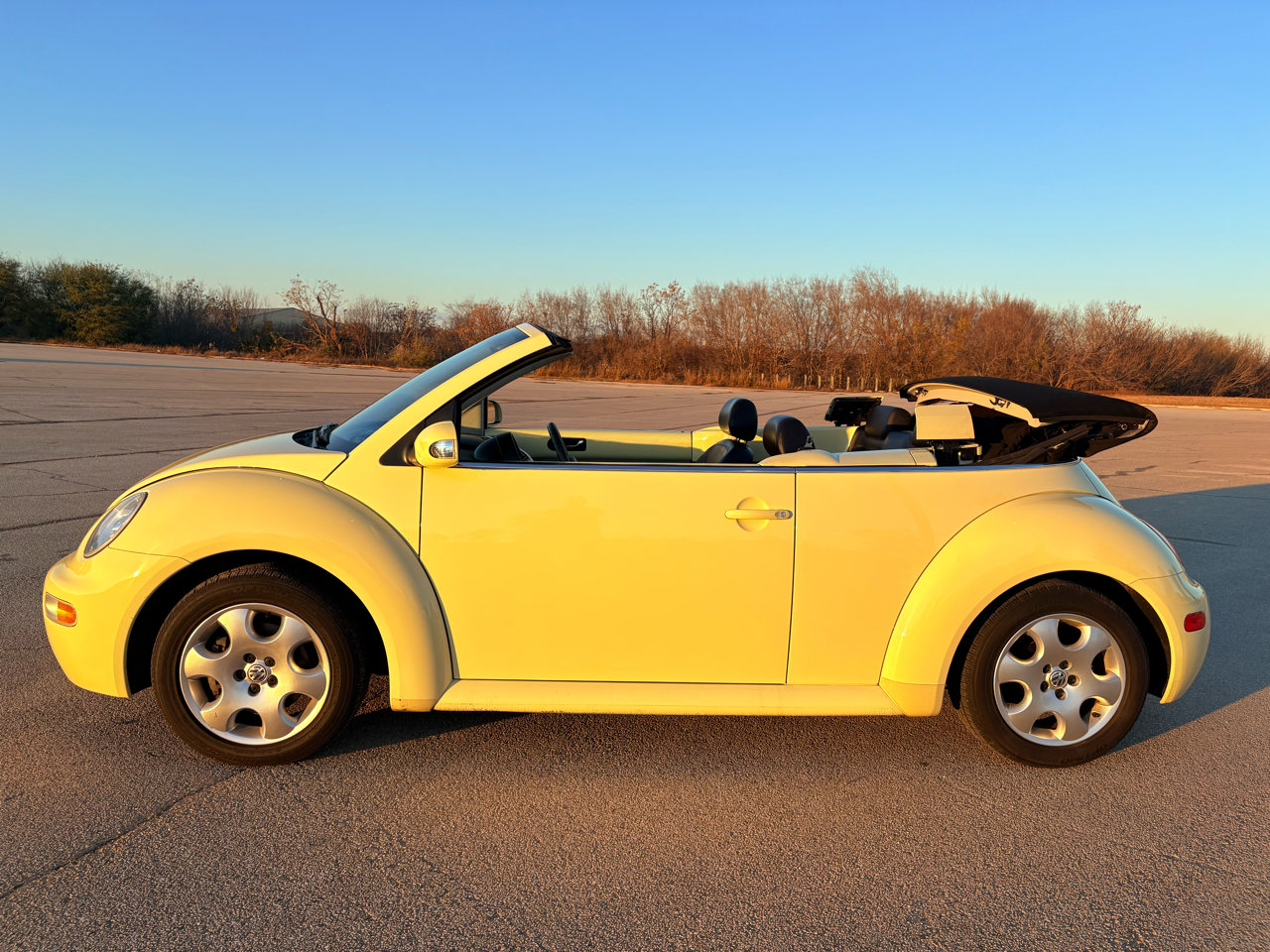 Used 2003 Volkswagen Beetle GLS image 3