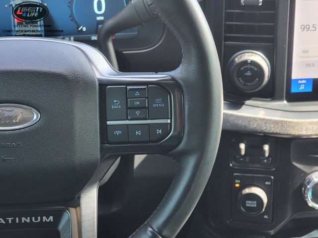 Used 2025 Ford F350 Platinum AWD/4WD image 28