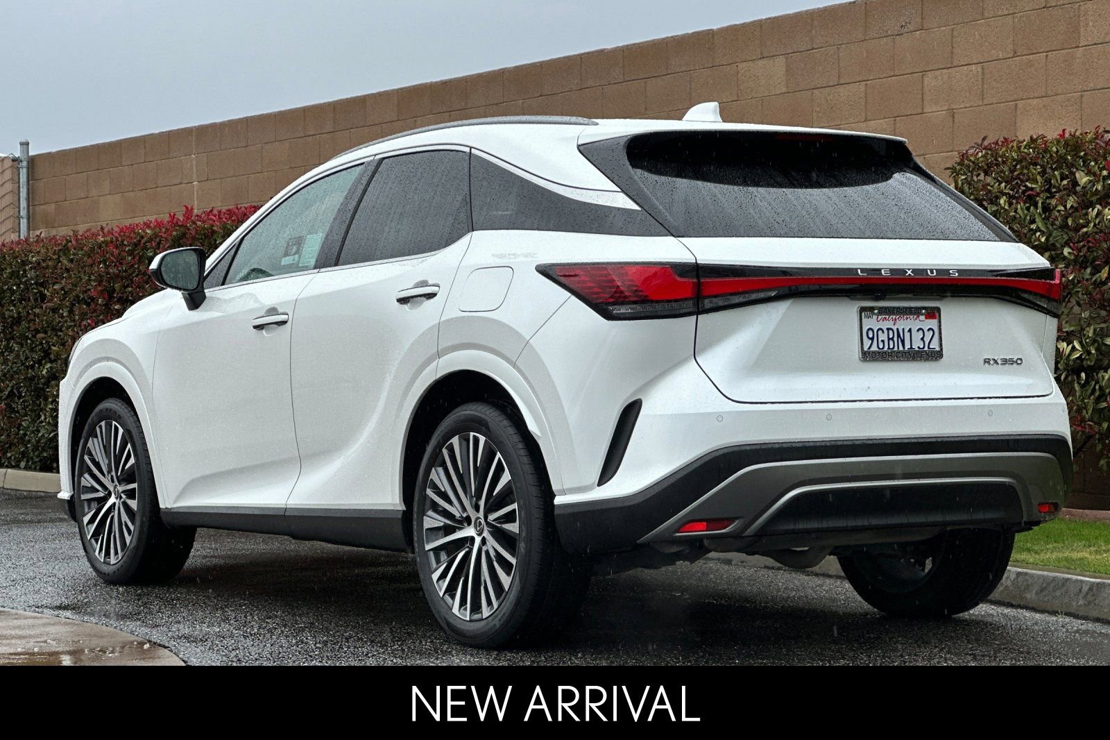 Certified 2023 Lexus RX 350 Premium Plus w/ Cold Area Package image 6