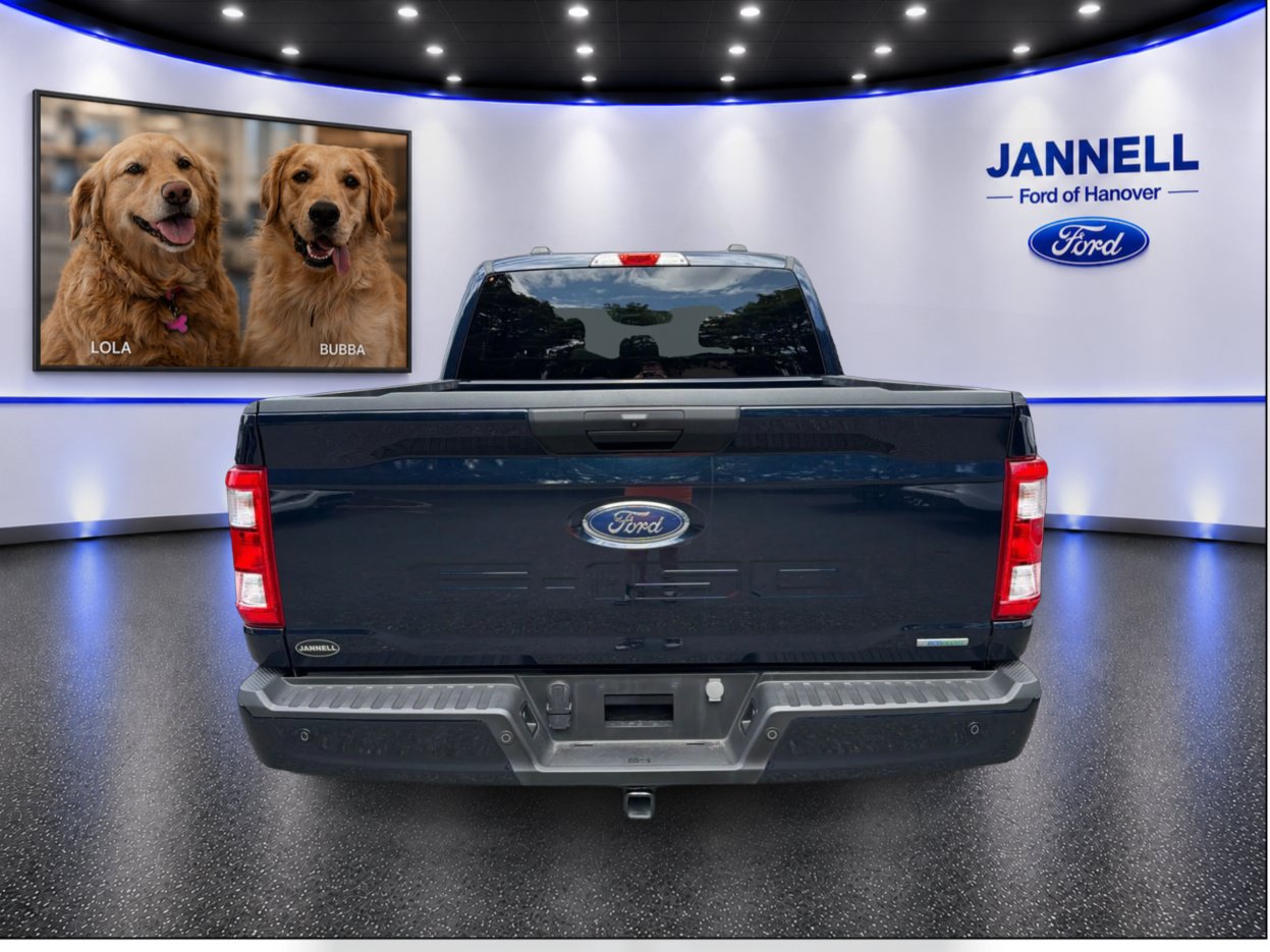 Used 2023 Ford F150 XL w/ STX Appearance Package AWD/4WD image 7