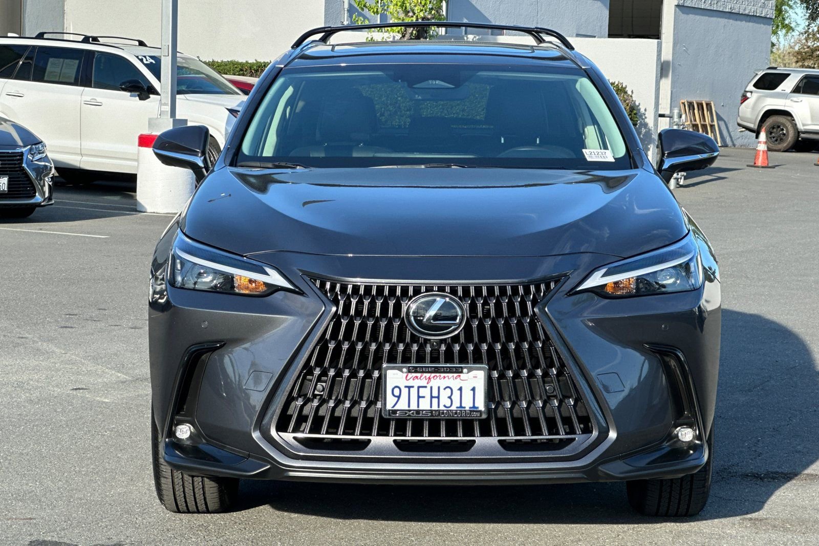 Used 2025 Lexus NX 350 AWD w/ Cold Area Package image 6