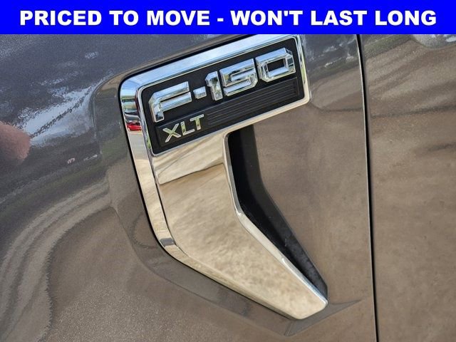 Used 2025 Ford F150 XLT w/ Equipment Group 301A Standard image 8
