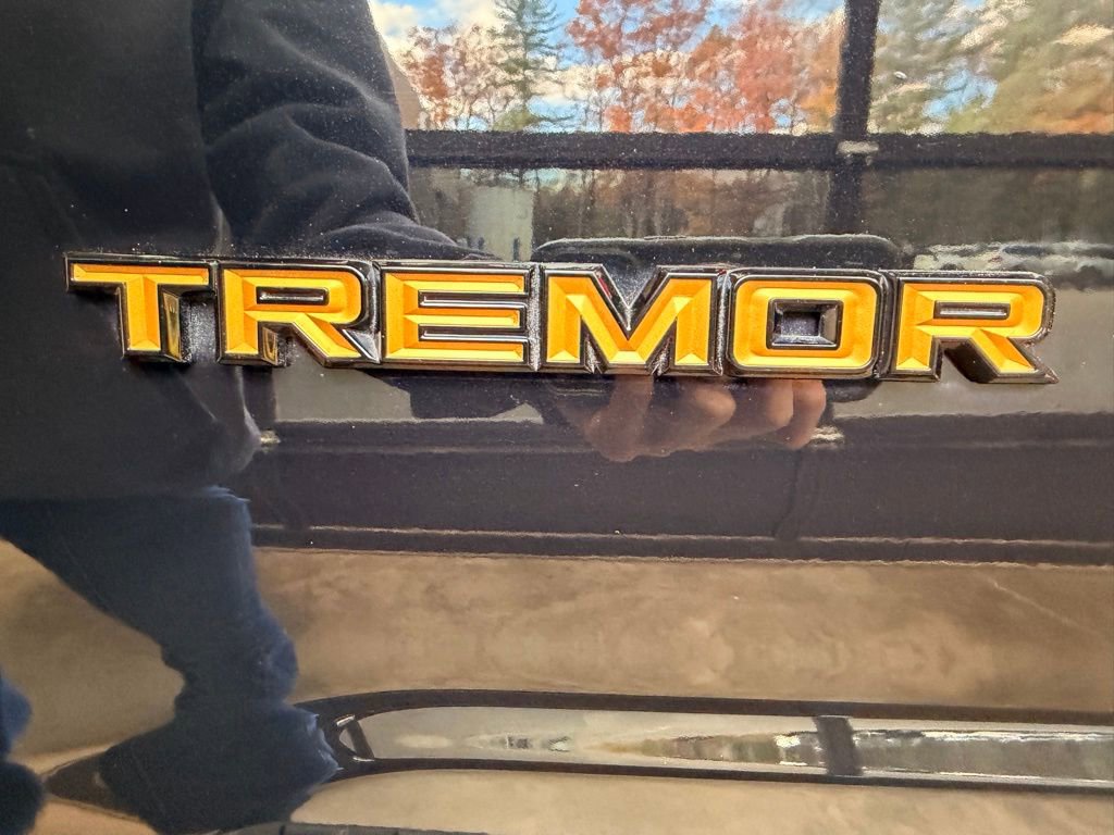 Used 2023 Ford F150 Tremor image 11