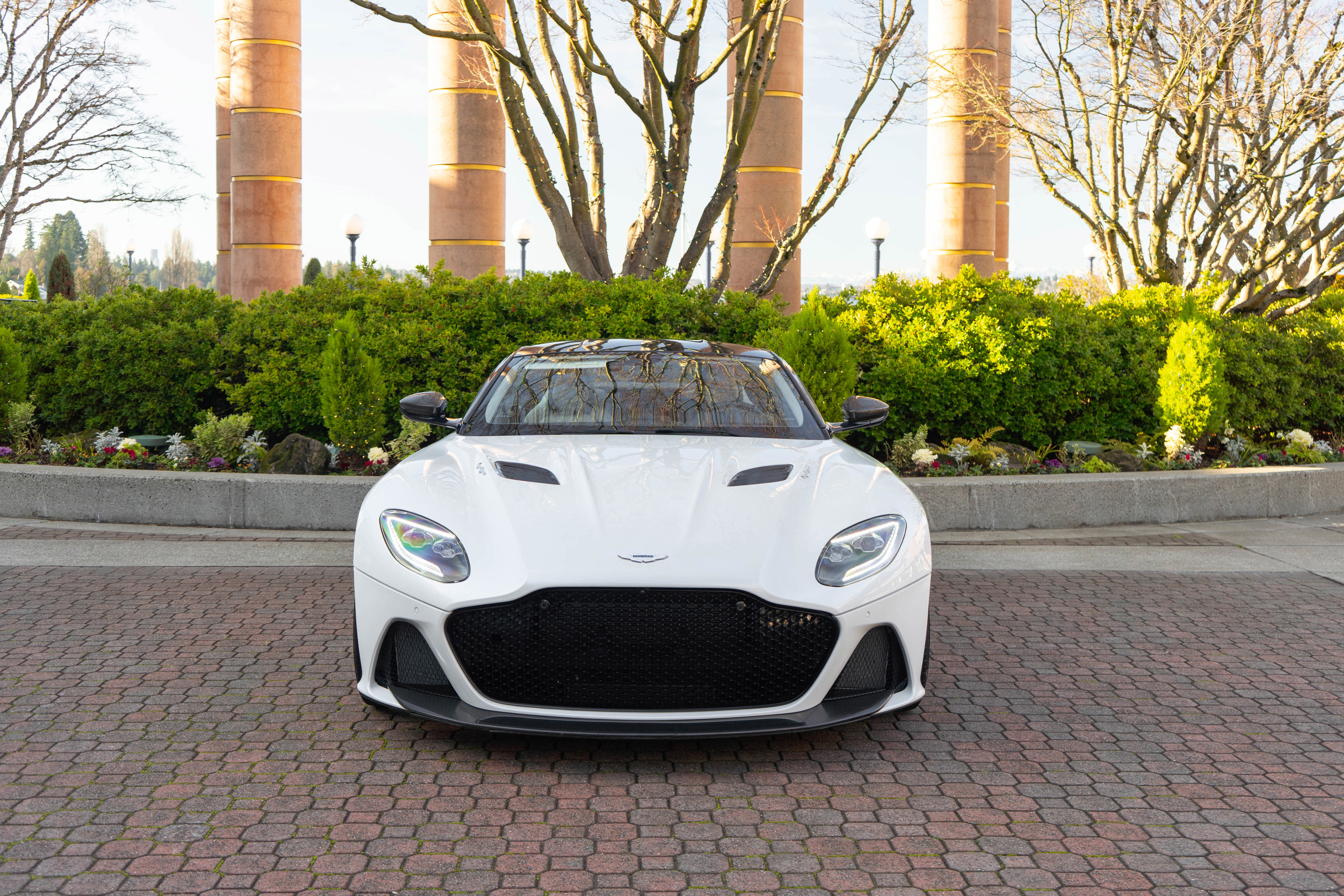 Used 2019 Aston Martin DBS Superleggera image 6
