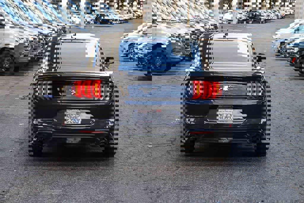 Used 2023 Ford Mustang EcoBoost w/ Equipment Group 101A image 5