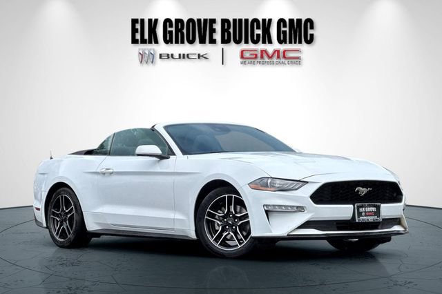 Used 2023 Ford Mustang Premium RWD image 2