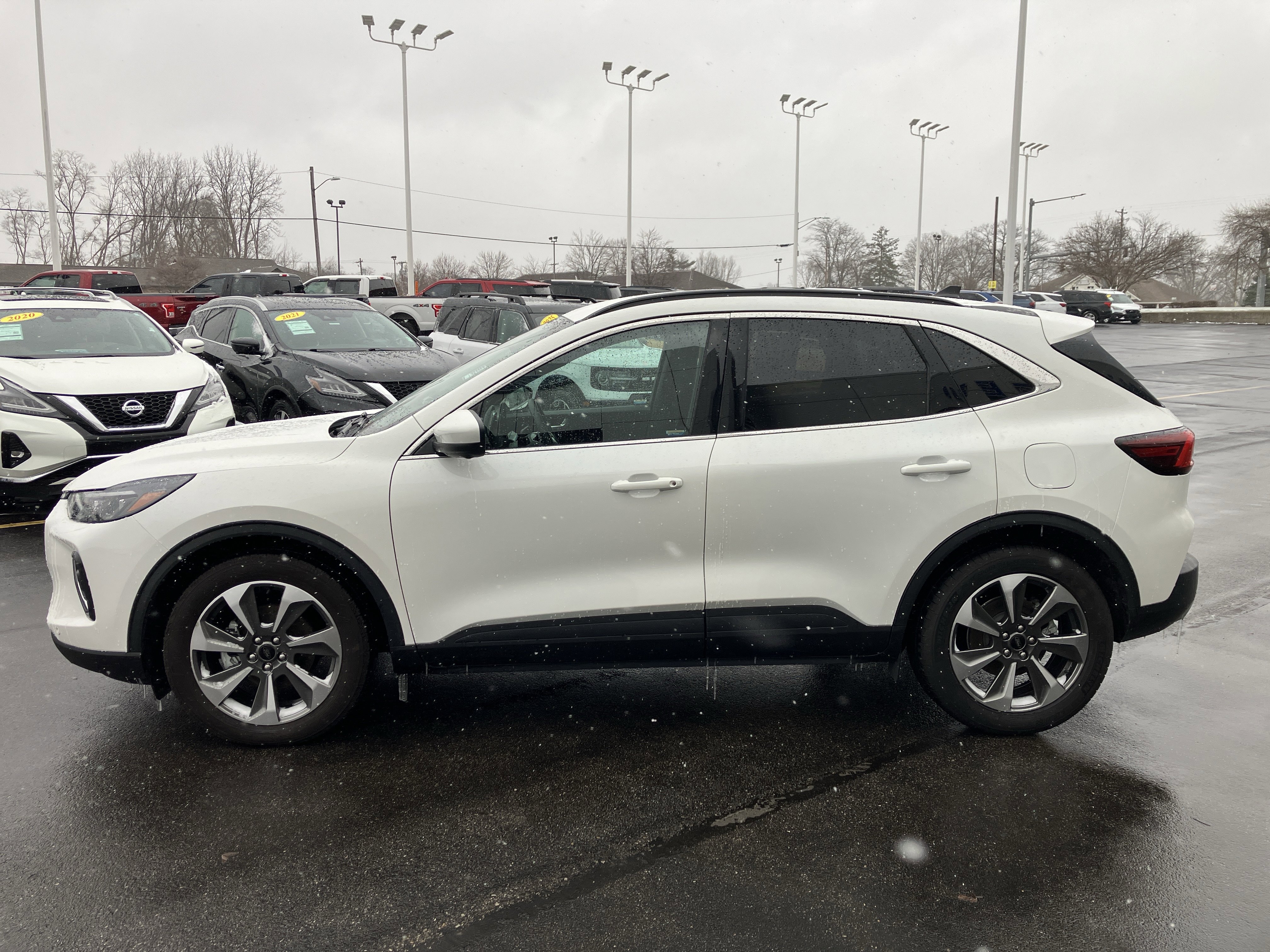 Used 2023 Ford Escape Platinum image 4