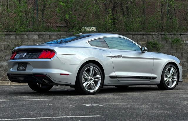 Used 2019 Ford Mustang Premium w/ Equipment Group 201A RWD image 3