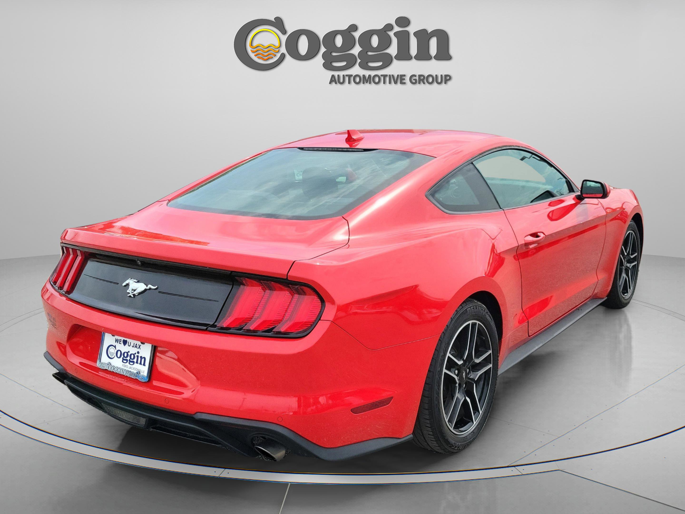 Used 2021 Ford Mustang EcoBoost w/ Equipment Group 101A image 3