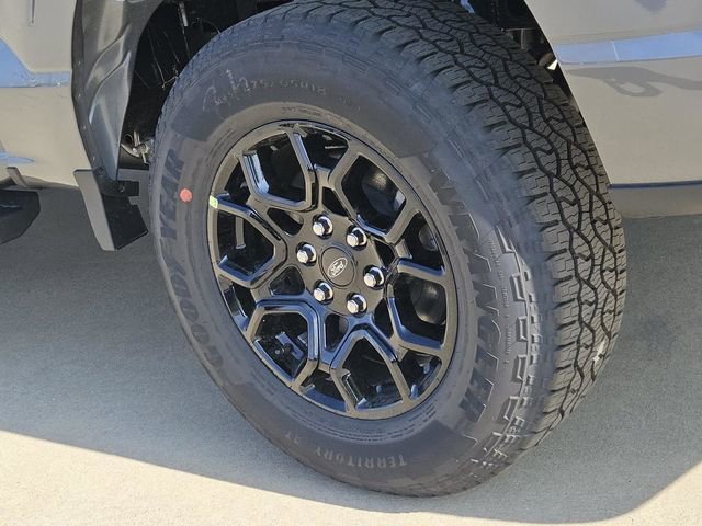 New 2026 Ford F150 XLT w/ XLT Black Appearance Package image 9