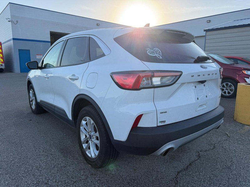 Used 2020 Ford Escape SE image 2