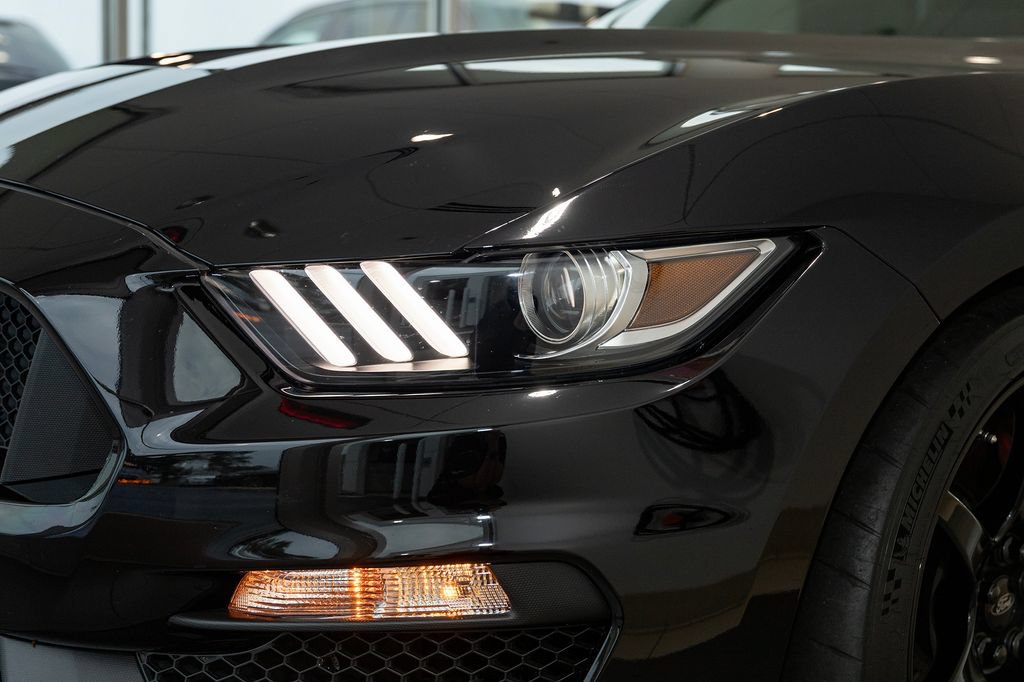 Used 2019 Ford Mustang Shelby GT350R w/ GT350R Equipment Group 920A RWD image 10