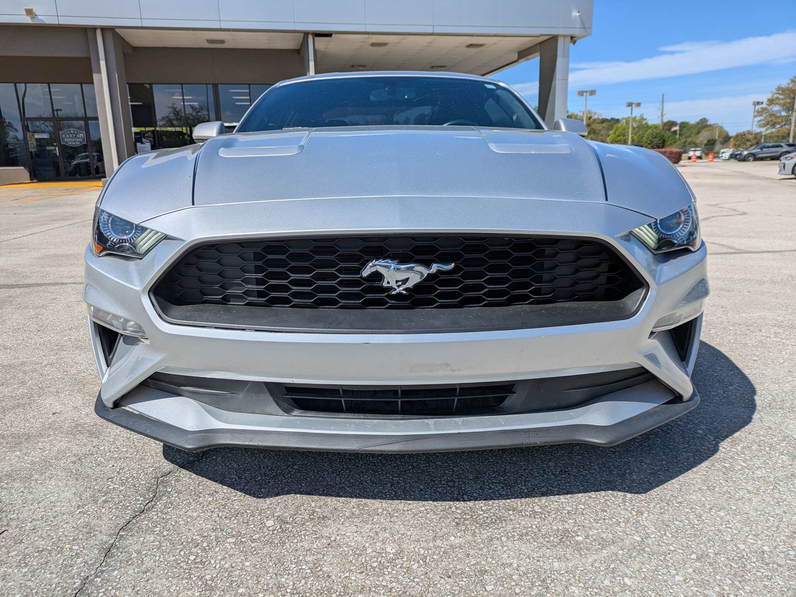 Used 2019 Ford Mustang EcoBoost image 9