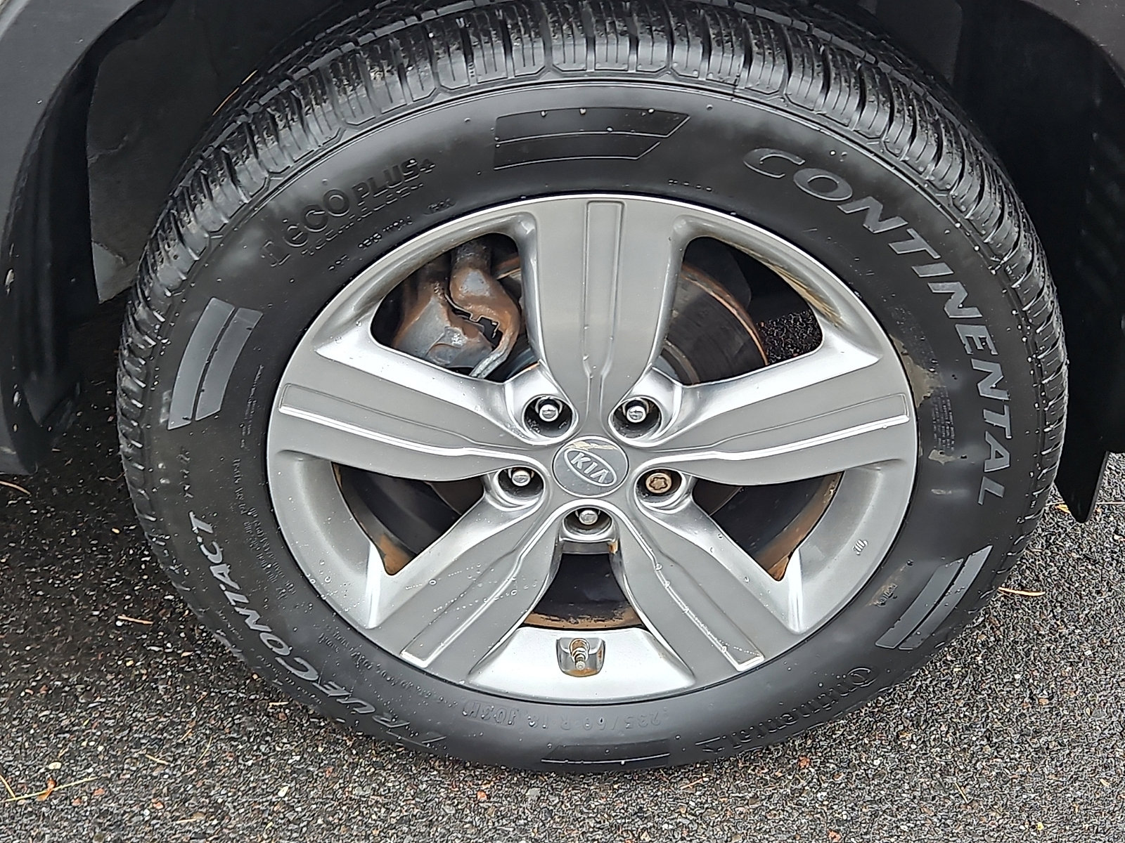 Used 2013 Kia Sorento EX w/ Premium Plus Pkg image 8