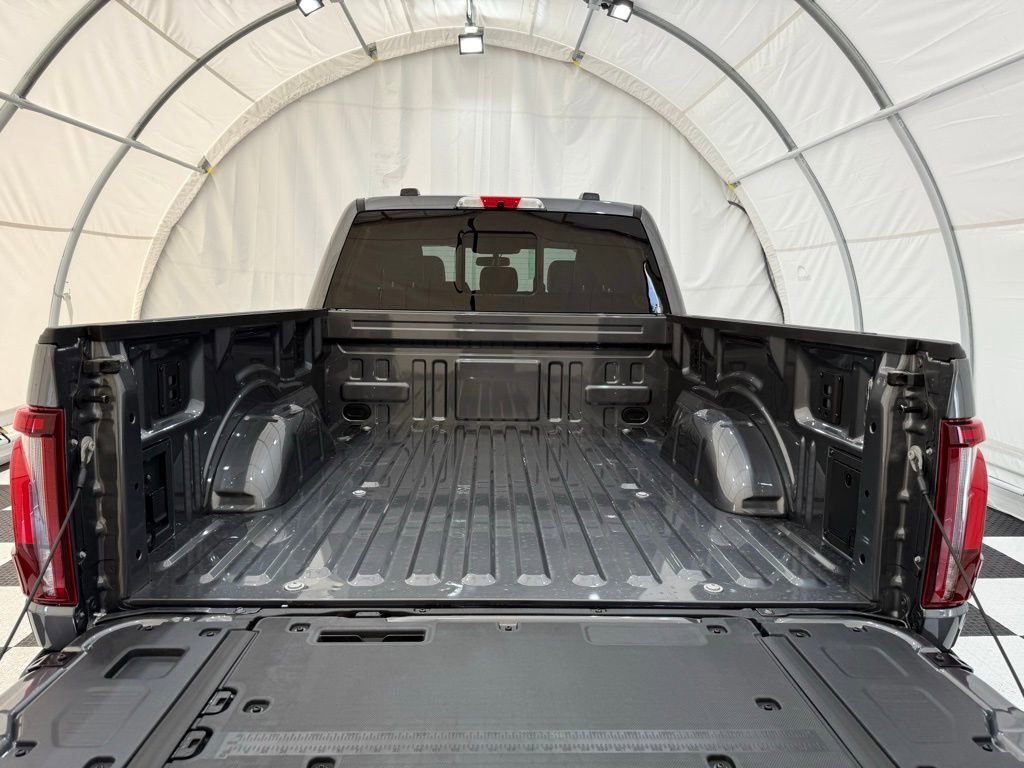 New 2025 Ford F150 Platinum image 5