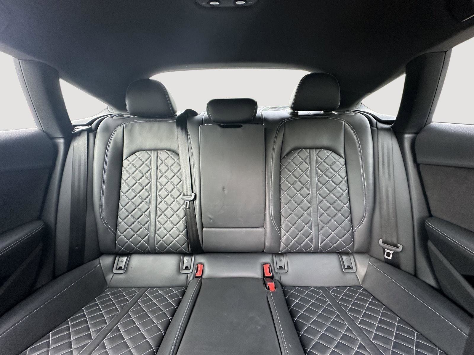 Used 2019 Audi S5 Premium Plus w/ Premium Plus image 13