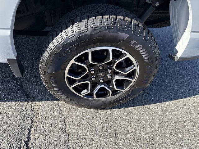 Used 2023 Ford F150 XL w/ XL STX Apperance Package image 12