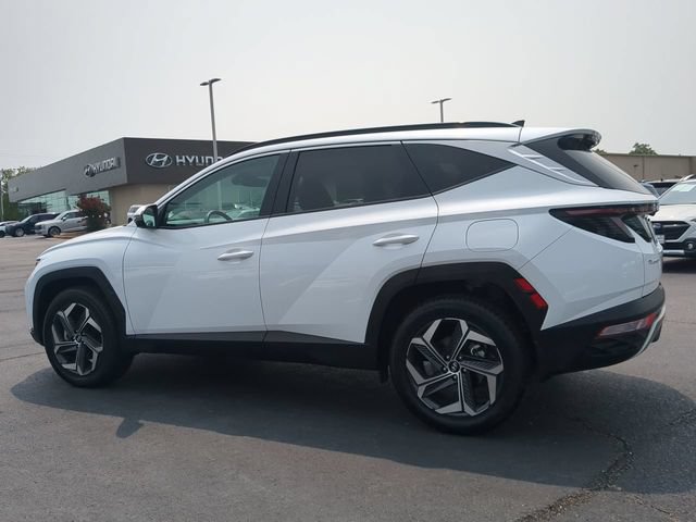 Used 2023 Hyundai Tucson Limited AWD/4WD image 6