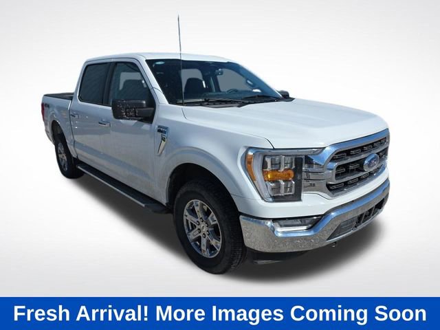 Used 2023 Ford F150 XLT w/ Equipment Group 302A High