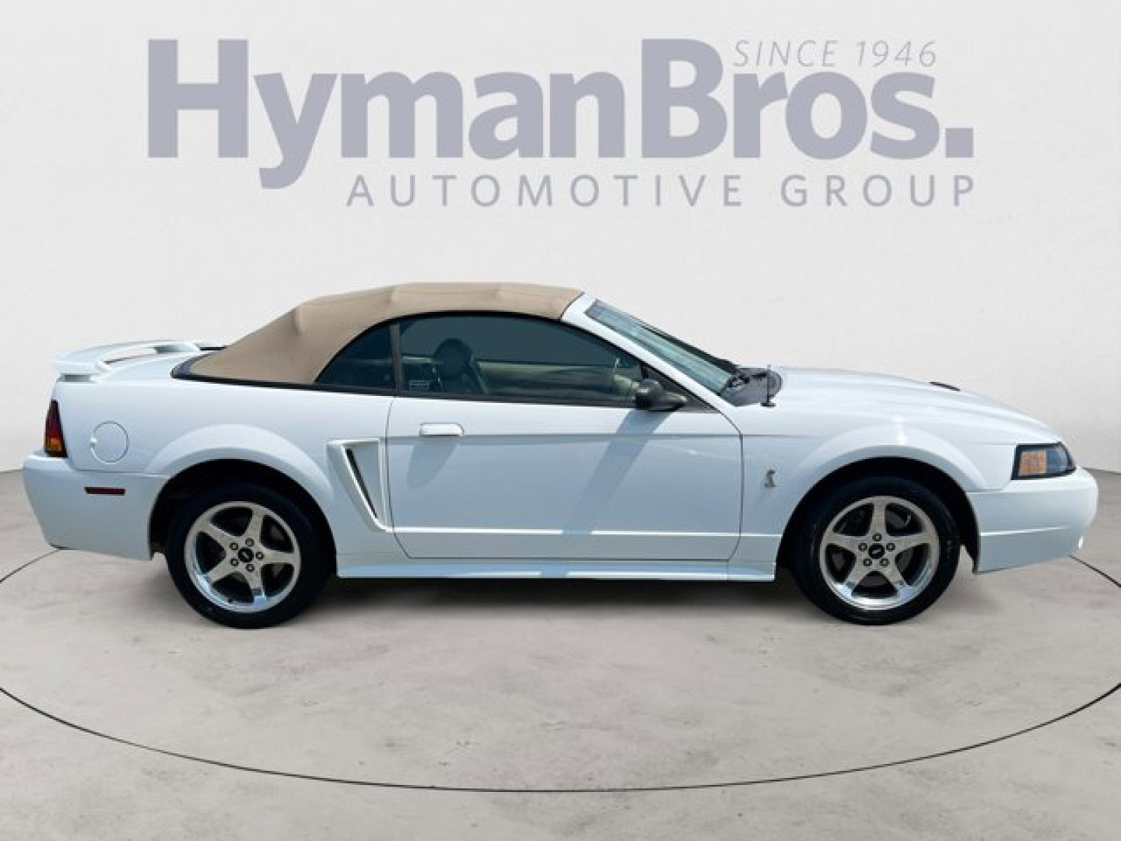 Used 2001 Ford Mustang Cobra image 2