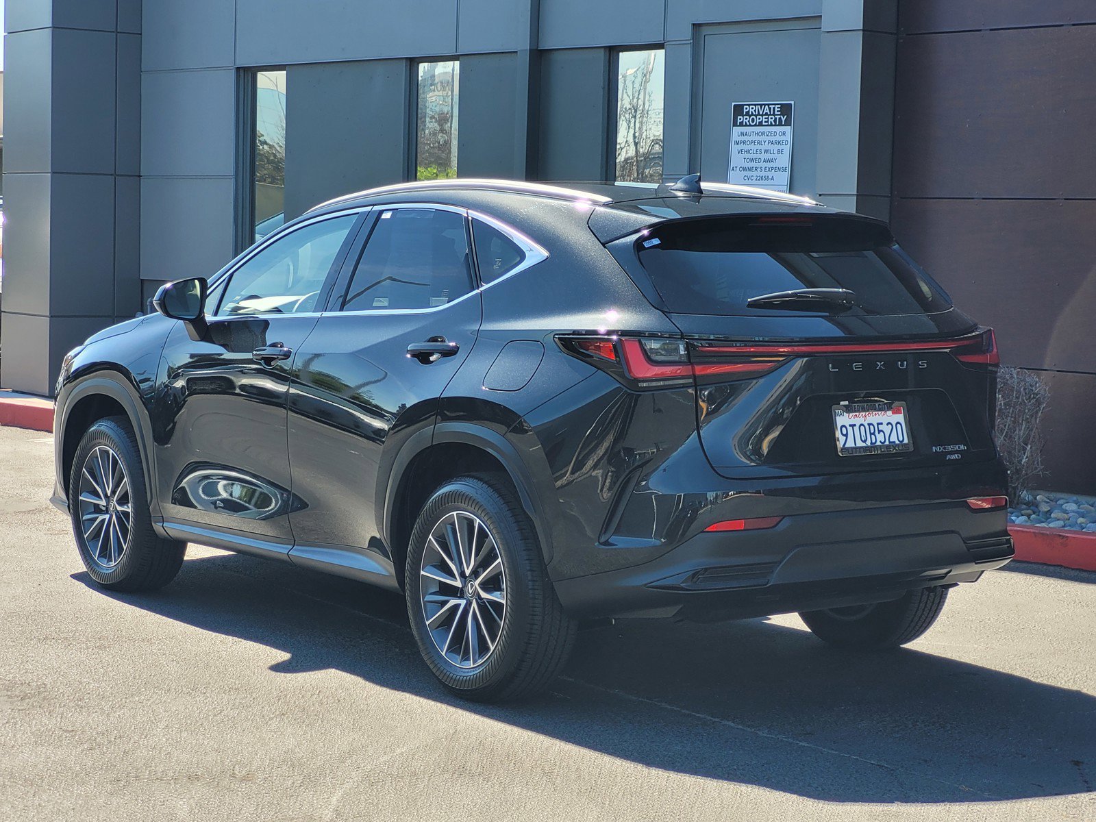 Certified 2025 Lexus NX 350h AWD w/ Cold Area Package image 7