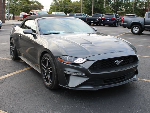 Used 2019 Ford Mustang Premium RWD image 4