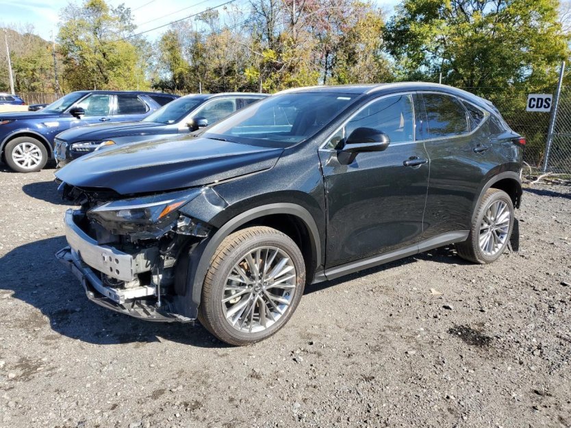 Used 2025 Lexus NX 350h AWD w/ Premium Package image 3