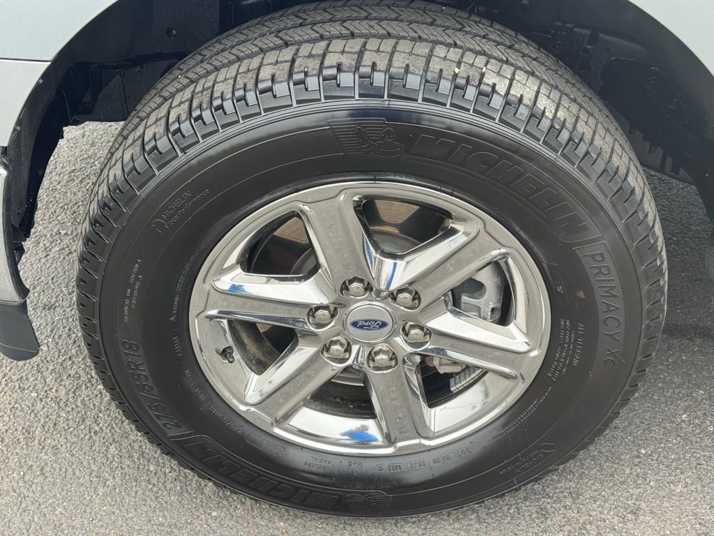 Used 2025 Ford F150 XLT w/ Equipment Group 301A Standard image 12