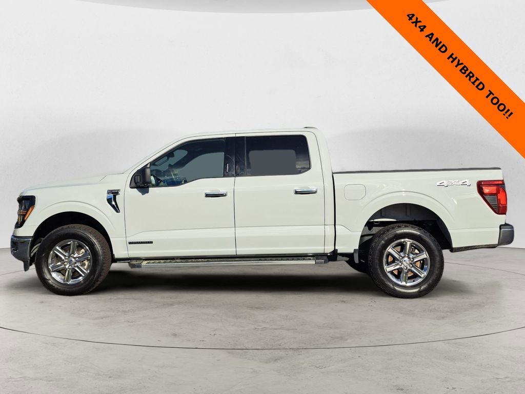 Used 2024 Ford F150 XLT w/ Mobile Office Package image 6