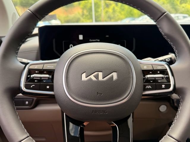 New 2026 Kia Carnival SX image 12