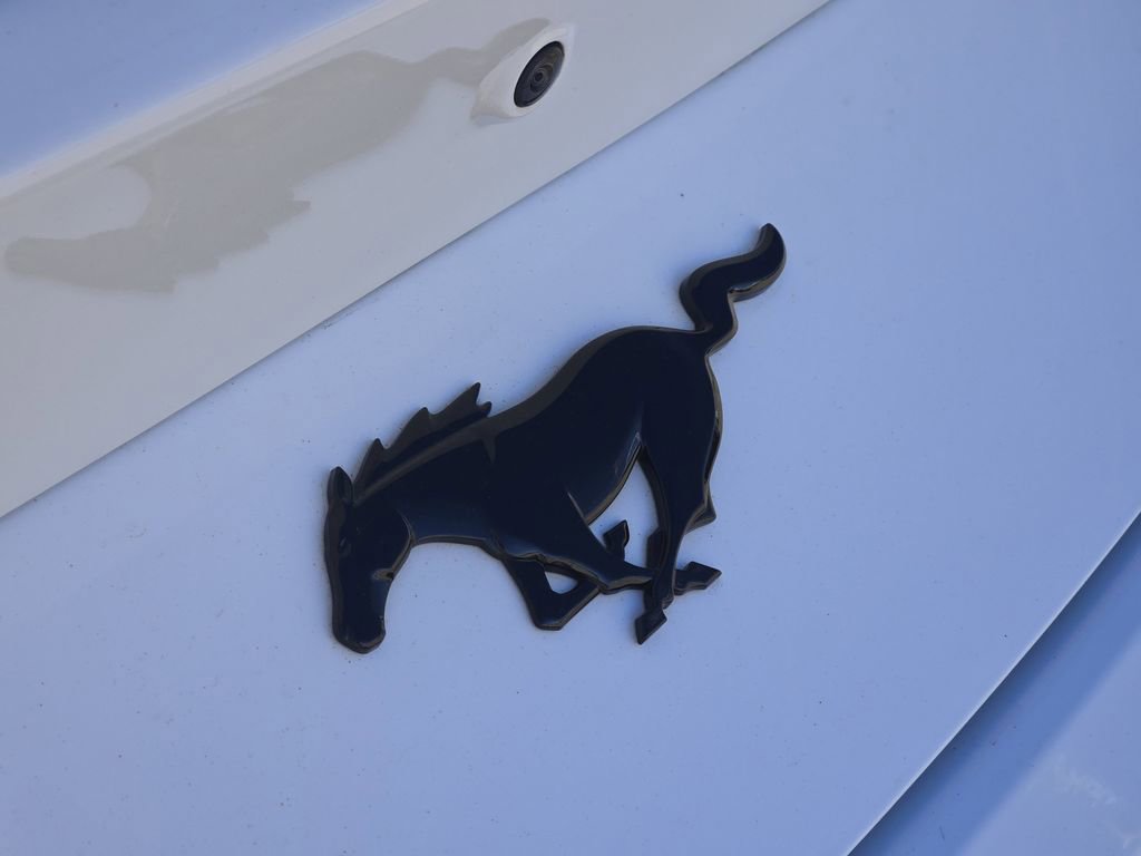 Used 2024 Ford Mustang Premium w/ Mustang Nite Pony Package image 11