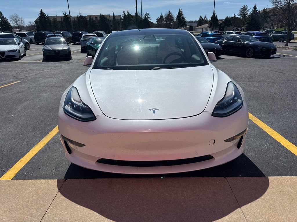 Used 2019 Tesla Model 3 Standard Range Plus image 2