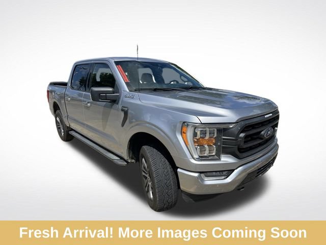 Used 2021 Ford F150 XLT w/ Equipment Group 302A High AWD/4WD image 1