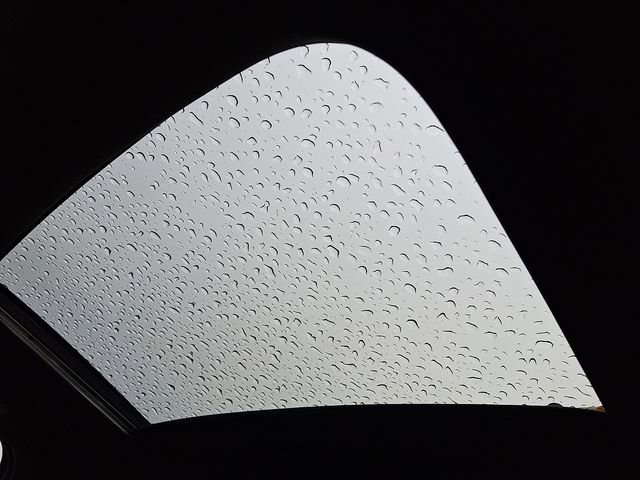 Used 2023 Kia Telluride EX X-Line image 16